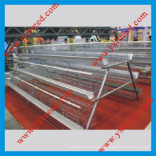 China Poultry Layer Cages